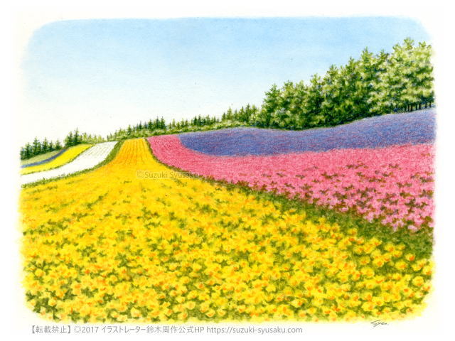 北海道の絵 富良野 美瑛 札幌の水彩色鉛筆画家 イラストレーター鈴木周作