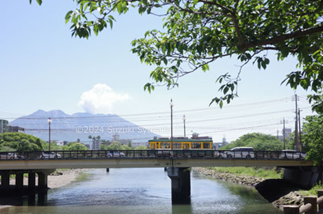 鹿児島市電と桜島