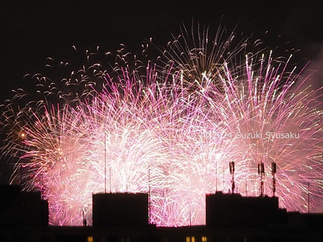 豊平川花火大会