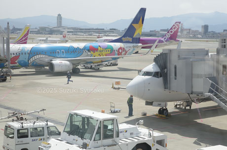 福岡空港到着