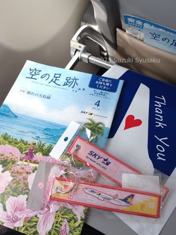 スカイマーク
