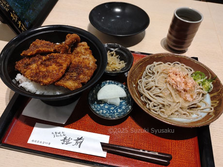 ソースカツ丼＆おろしそば