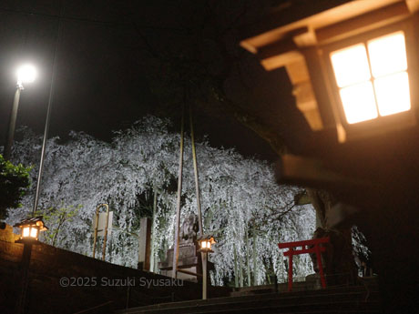 足羽神社
