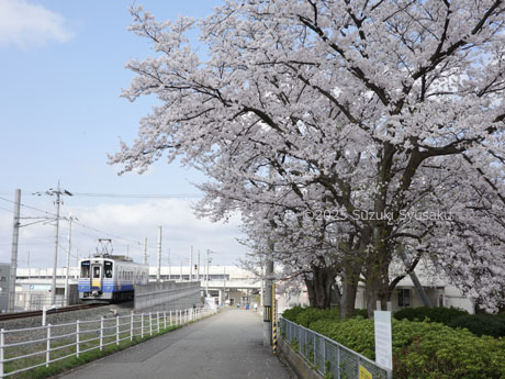 えちぜん鉄道