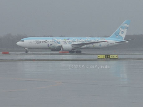 新千歳空港・ロコンジェット北海道