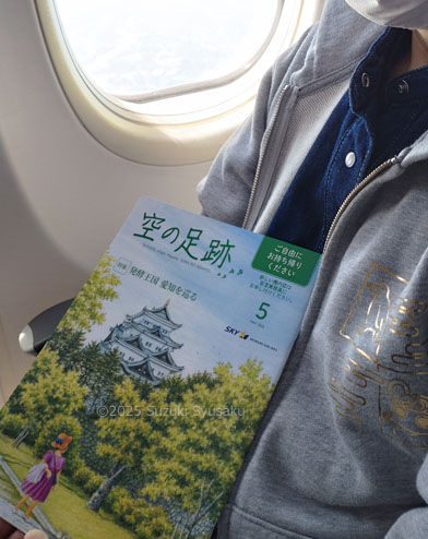 スカイマーク