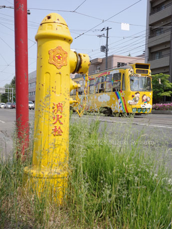 札幌市電