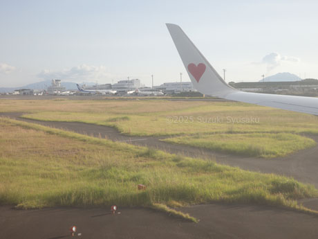 鹿児島空港到着