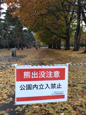 円山公園