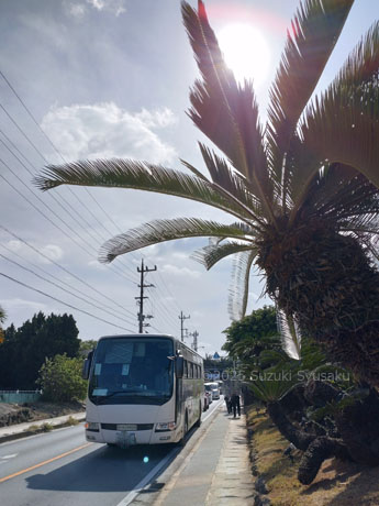 やんばる急行バス