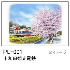 Pl-001　十和田観光電鉄
