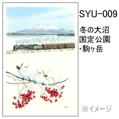 SYU-009　冬の大沼国定公園・駒ヶ岳