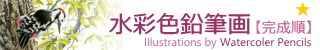 【制作年順】水彩色鉛筆画イラスト